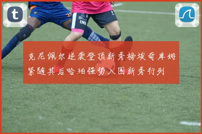 克尼佩尔逆袭登顶新秀榜埃奇库姆紧随其后哈珀强势入围新秀行列