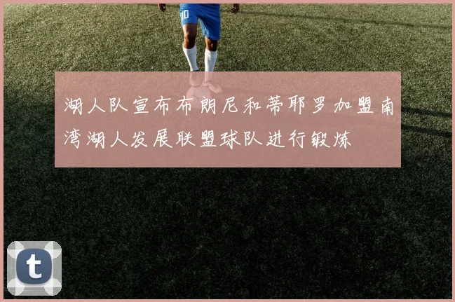 湖人队宣布布朗尼和蒂耶罗加盟南湾湖人发展联盟球队进行锻炼