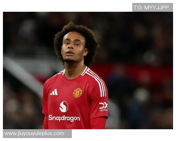 罗马有意同时引进齐尔克泽与拉斯帕多里加强阵容深度